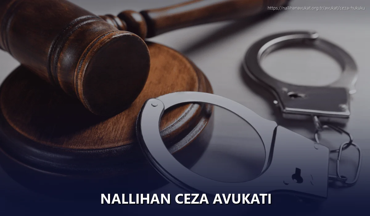 Nallihan Ceza Avukatı