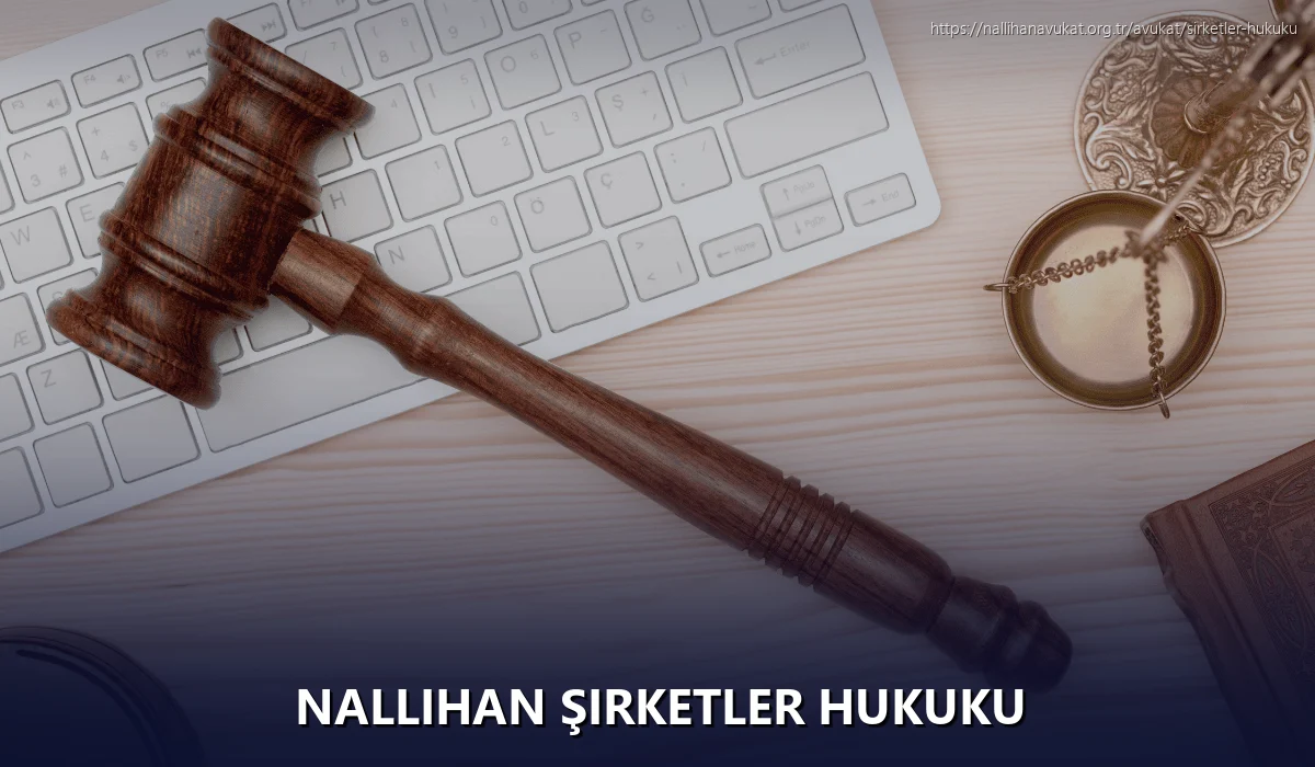 Nallihan Şirketler Hukuku